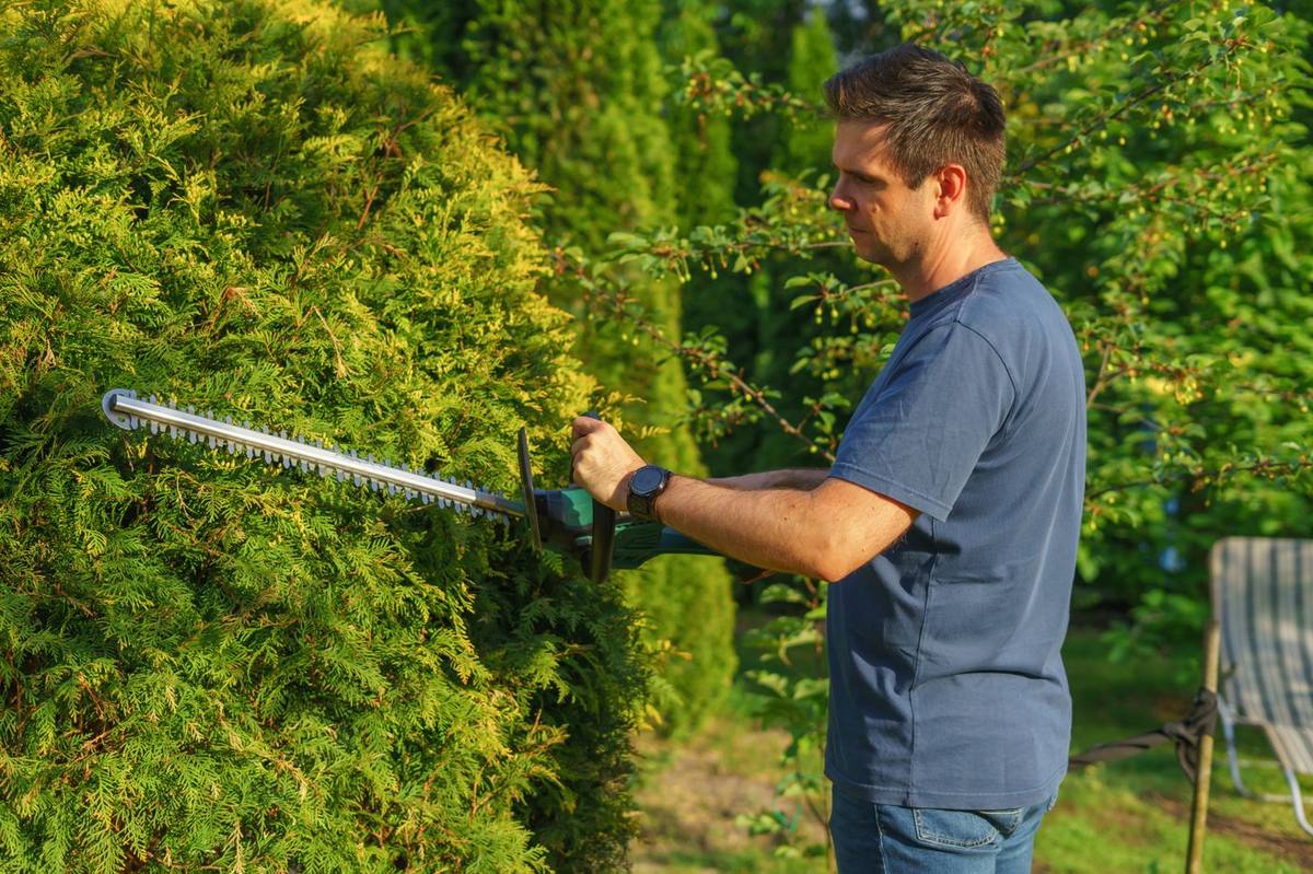 A Fairway crew member trimming a hedge