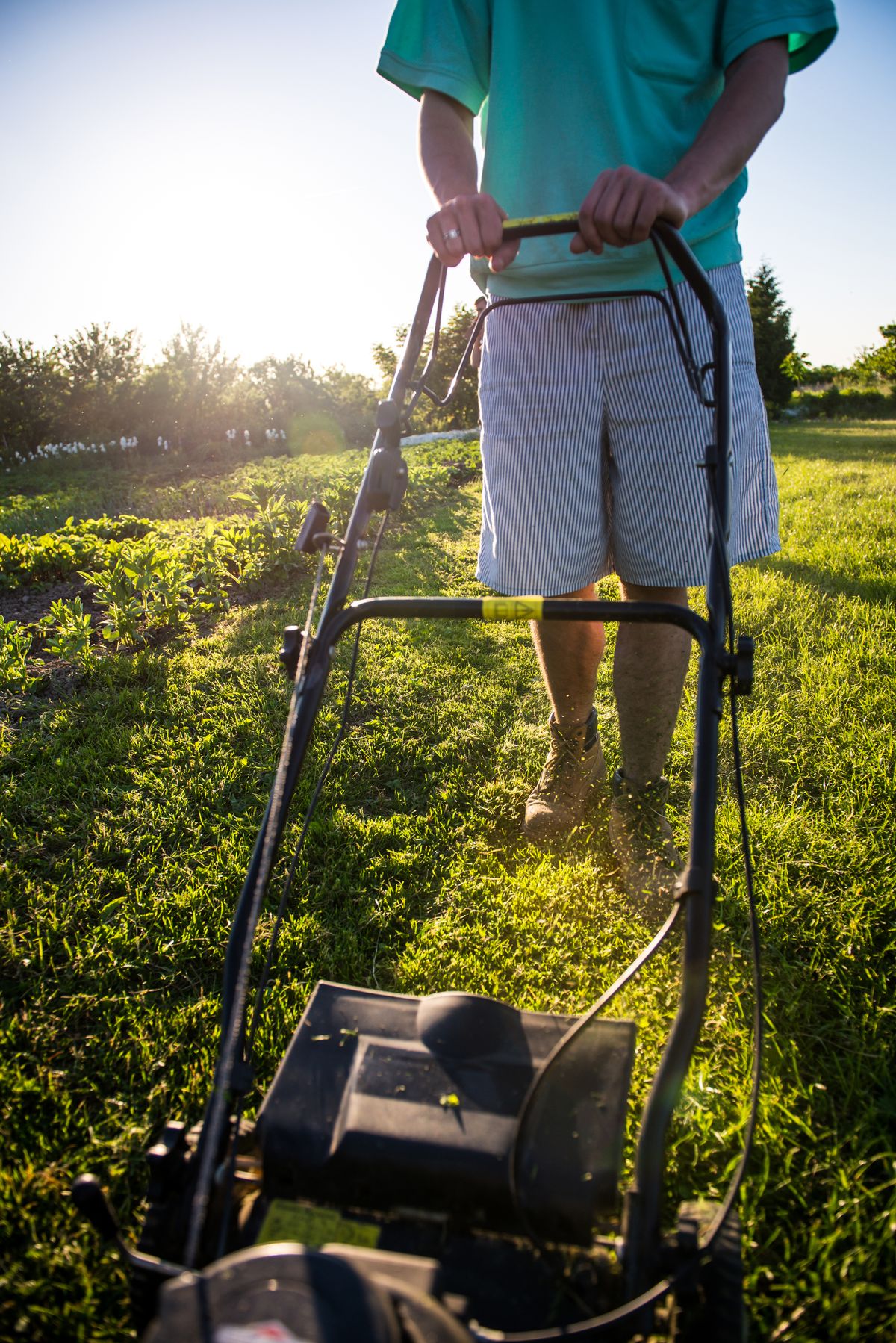 Mowing and Edging in Mount Dora