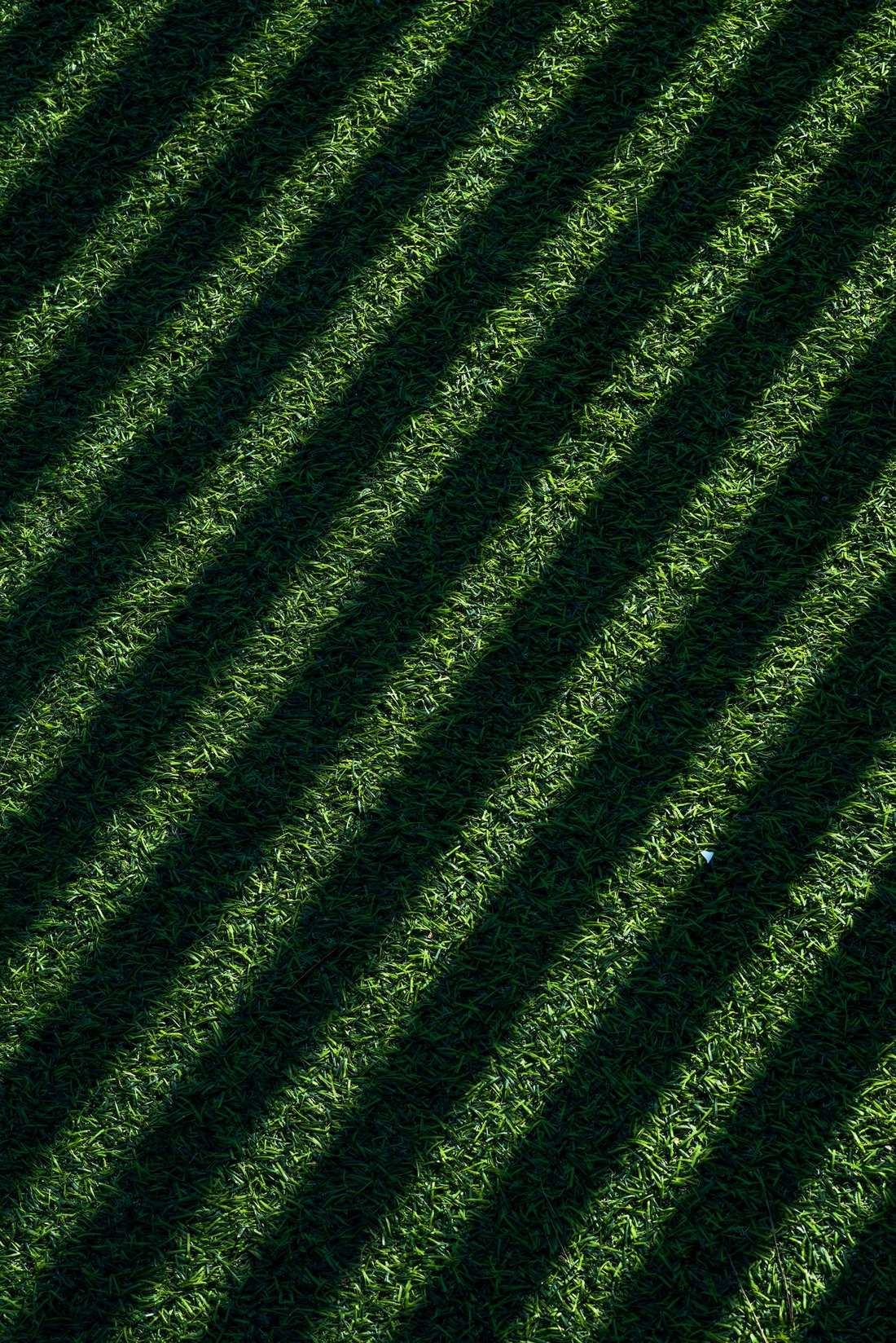 Fertilization and Weed Control in Mount Dora