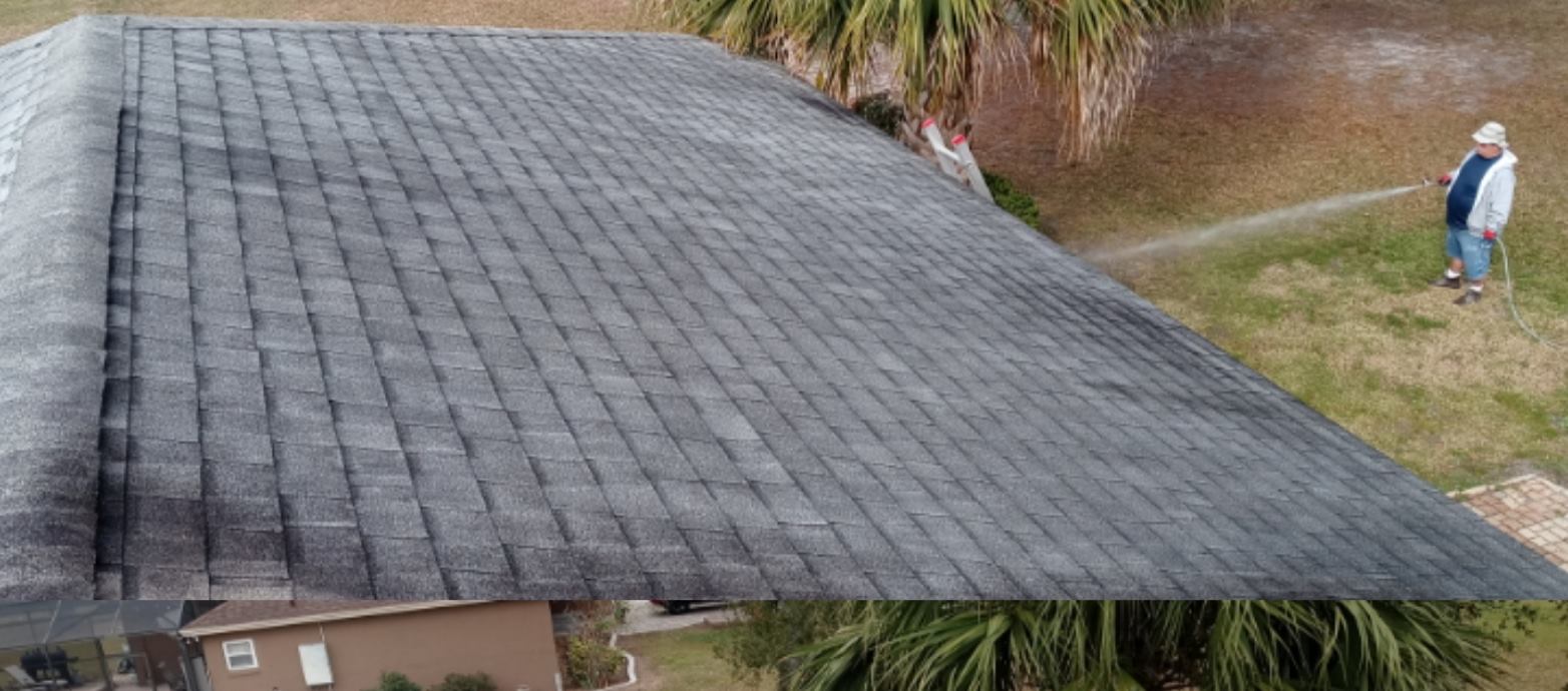 A shingle roof dark with grime before restoration