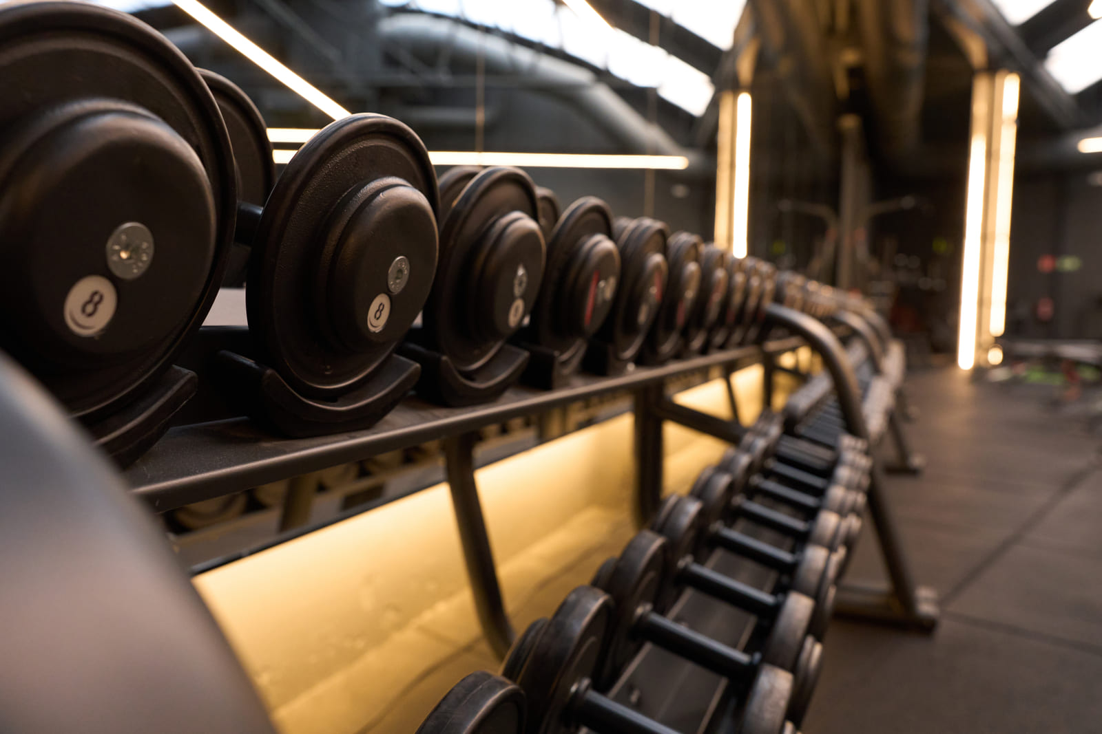 The dumbbell rack along the north wall at Forge