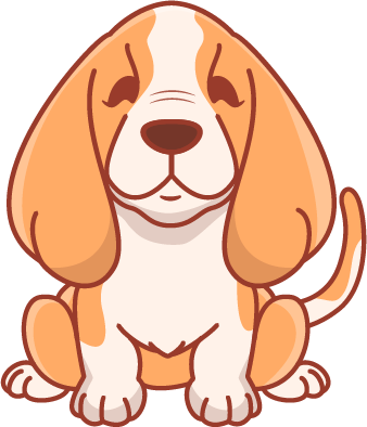 A freshly groomed dog at The Pampered Pup