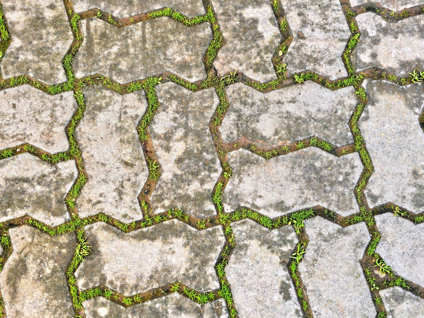 Dirty surface before pressure washing