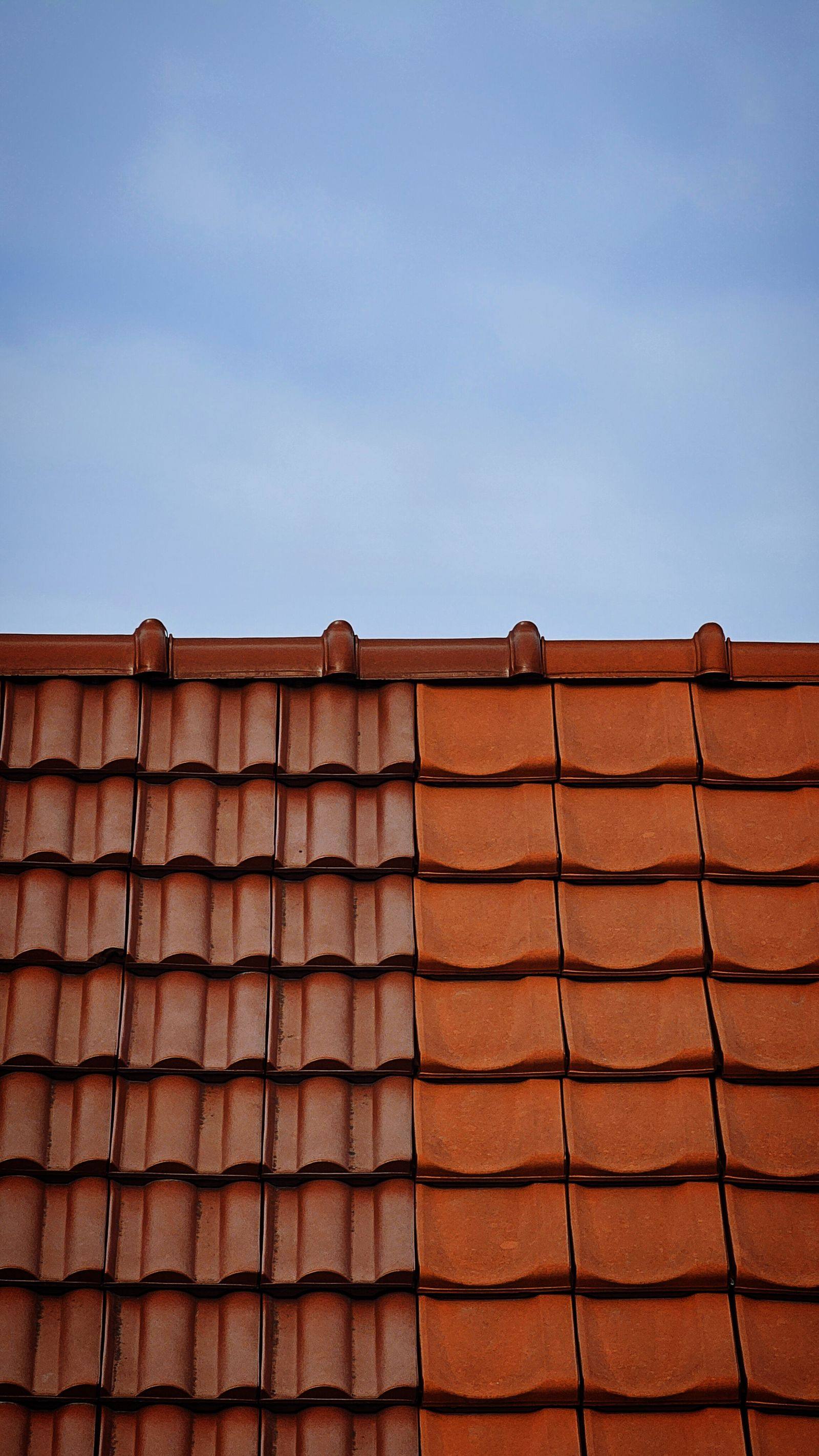 Tile roof after cleaning